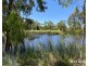 14 Papillon Parade, Tarneit VIC 3029