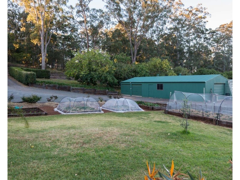 14 Wilkes Road, Hampton QLD 4352