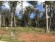 Lot 15 Canterbury Place, Hampton QLD 4352