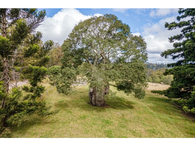 581 Ravensbourne Dip Road, Ravensbourne QLD 4352