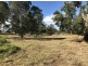 Lot 169 Edward Street, Pechey QLD 4352