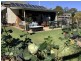 28 Nolan Street, Crows Nest QLD 4355