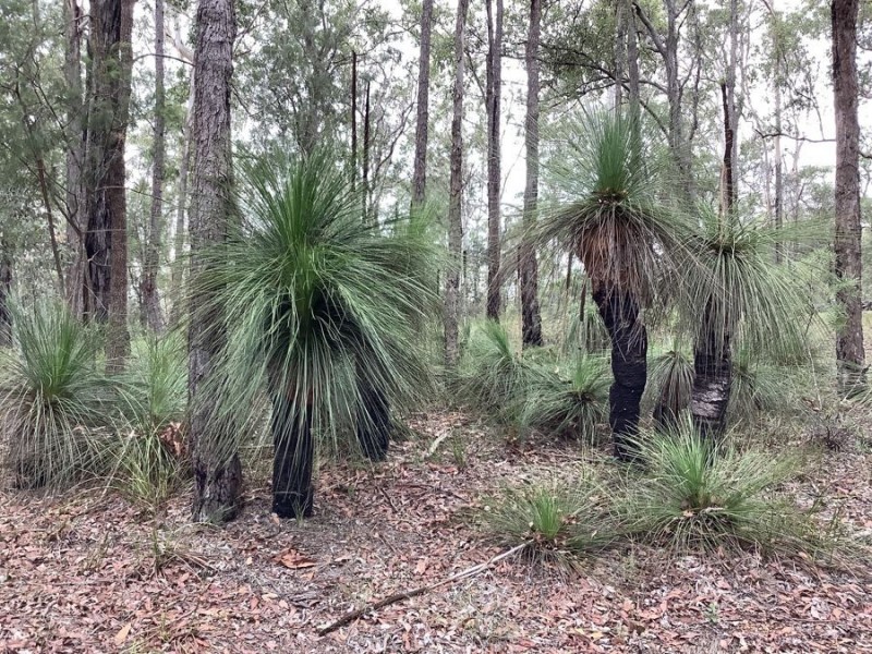 Lot 1 Perseverance Dam Road, Crows Nest QLD 4355