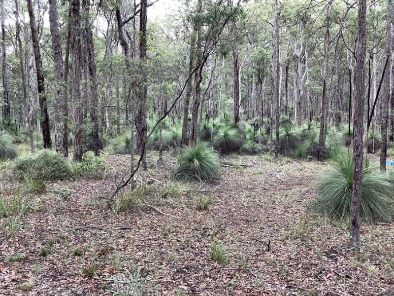 Lot 1 Perseverance Dam Road, Crows Nest QLD 4355
