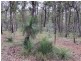 Lot 1 Perseverance Dam Road, Crows Nest QLD 4355