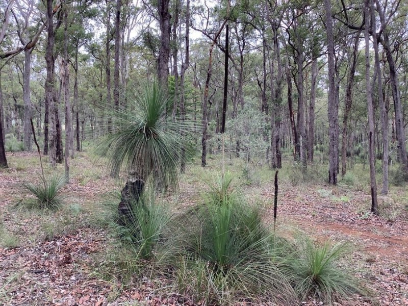 Lot 1 Perseverance Dam Road, Crows Nest QLD 4355