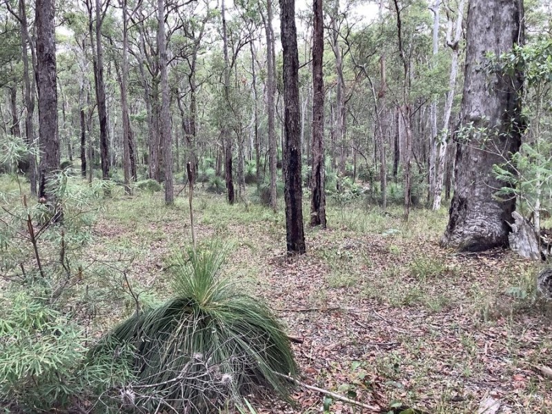 Lot 1 Perseverance Dam Road, Crows Nest QLD 4355