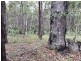 Lot 1 Perseverance Dam Road, Crows Nest QLD 4355