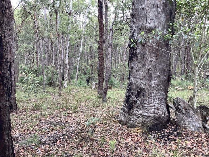 Lot 1 Perseverance Dam Road, Crows Nest QLD 4355