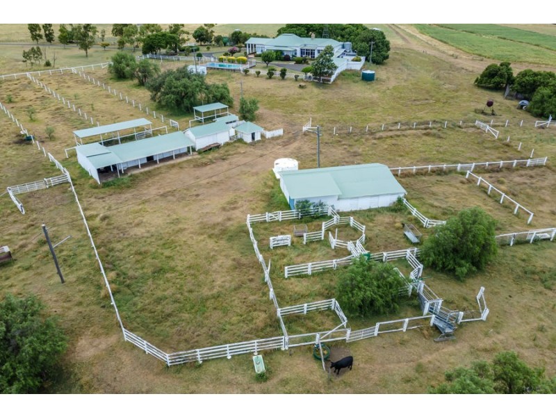 319 Drayton Wellcamp Road, Wellcamp QLD 4350
