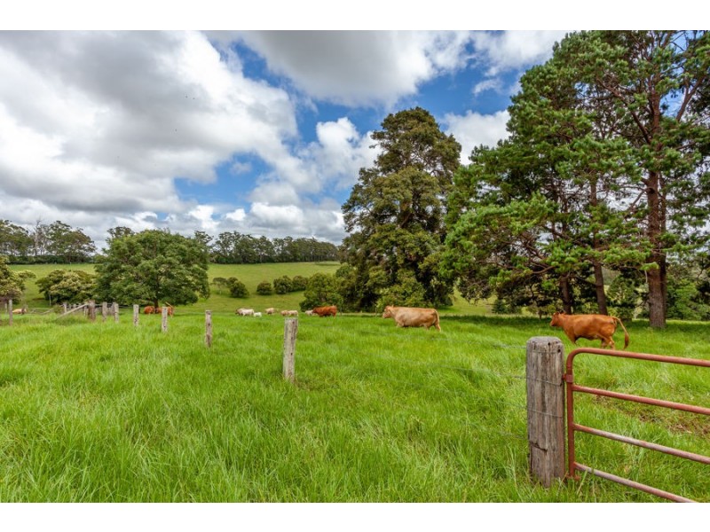 581 Ravensbourne Dip Road, Ravensbourne QLD 4352