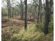 Lot 10 1461 Pierces Creek Road, Pierces Creek QLD 4355