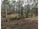 Lot 10 1461 Pierces Creek Road, Pierces Creek QLD 4355