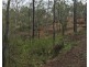 Lot 10 1461 Pierces Creek Road, Pierces Creek QLD 4355