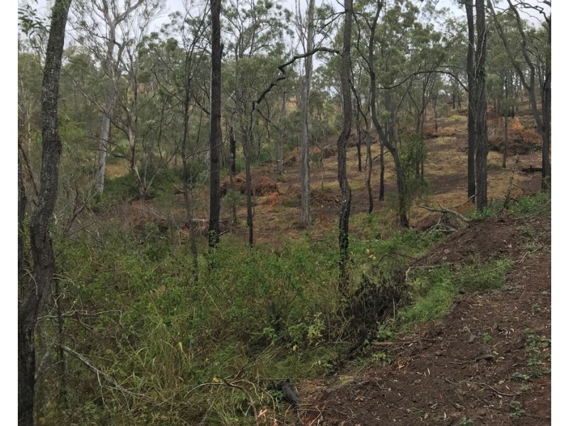 Lot 10 1461 Pierces Creek Road, Pierces Creek QLD 4355