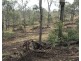 Lot 10 1461 Pierces Creek Road, Pierces Creek QLD 4355