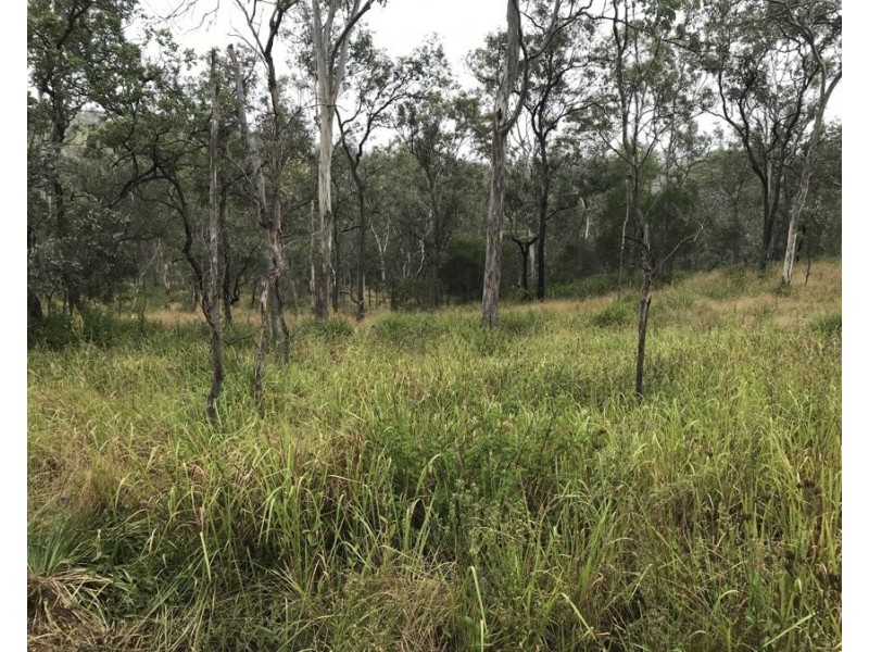 Lot 10 1461 Pierces Creek Road, Pierces Creek QLD 4355