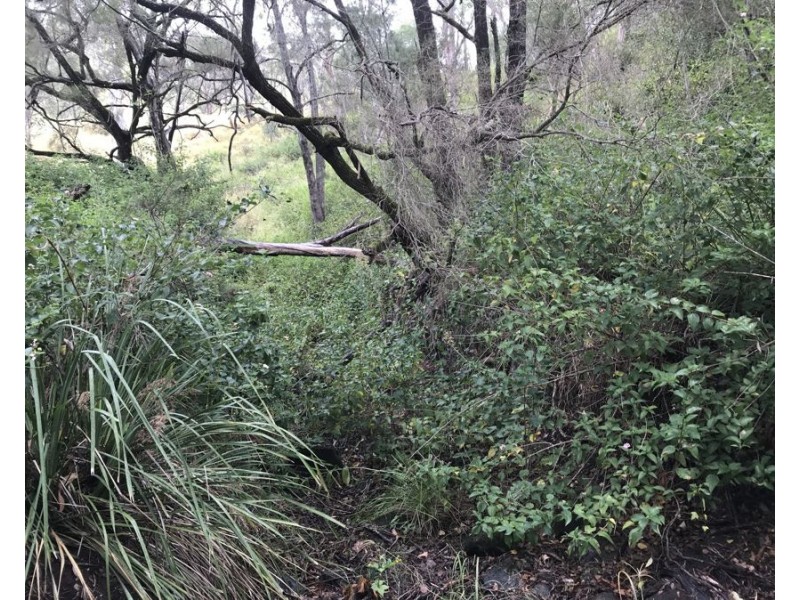 Lot 10 1461 Pierces Creek Road, Pierces Creek QLD 4355