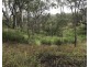 Lot 10 1461 Pierces Creek Road, Pierces Creek QLD 4355