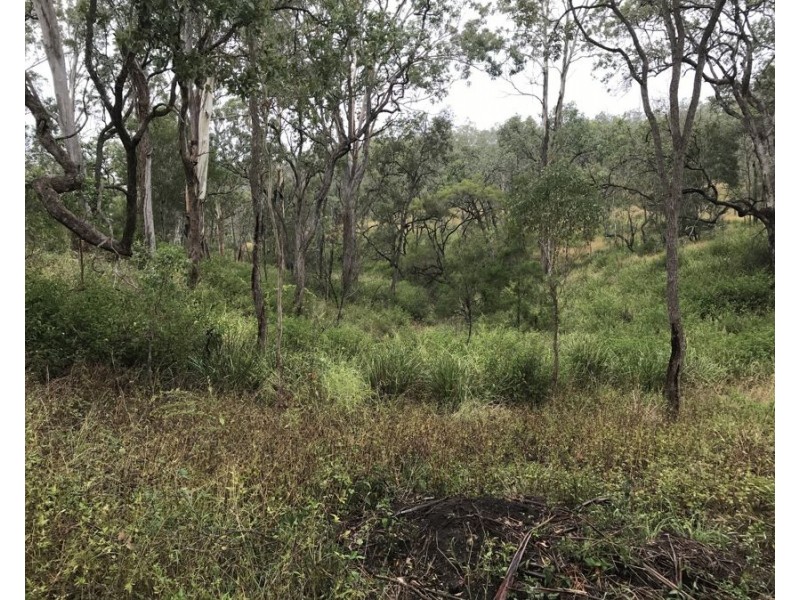 Lot 10 1461 Pierces Creek Road, Pierces Creek QLD 4355