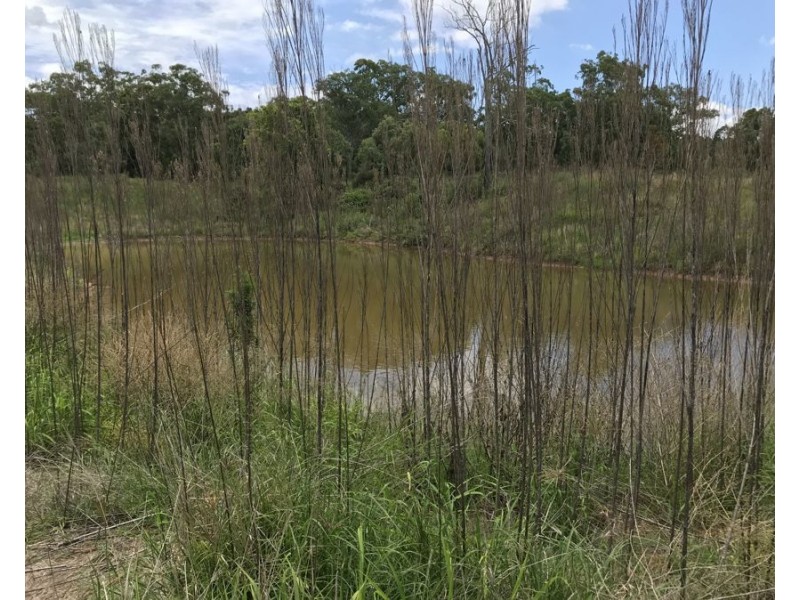 0 Thornville Range Road, Thornville QLD 4352