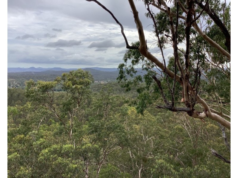 311 Penderests Road, Murphys Creek QLD 4352