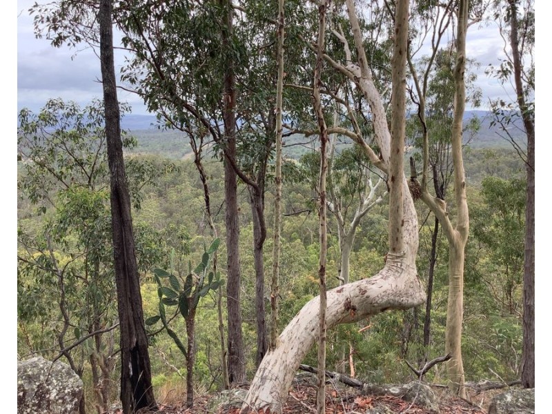 311 Penderests Road, Murphys Creek QLD 4352