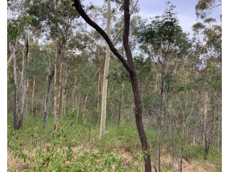 311 Penderests Road, Murphys Creek QLD 4352