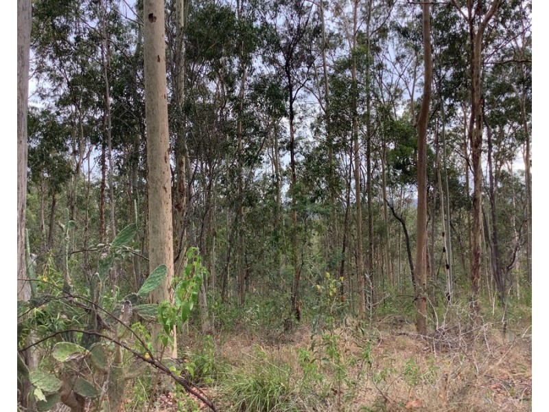 311 Penderests Road, Murphys Creek QLD 4352