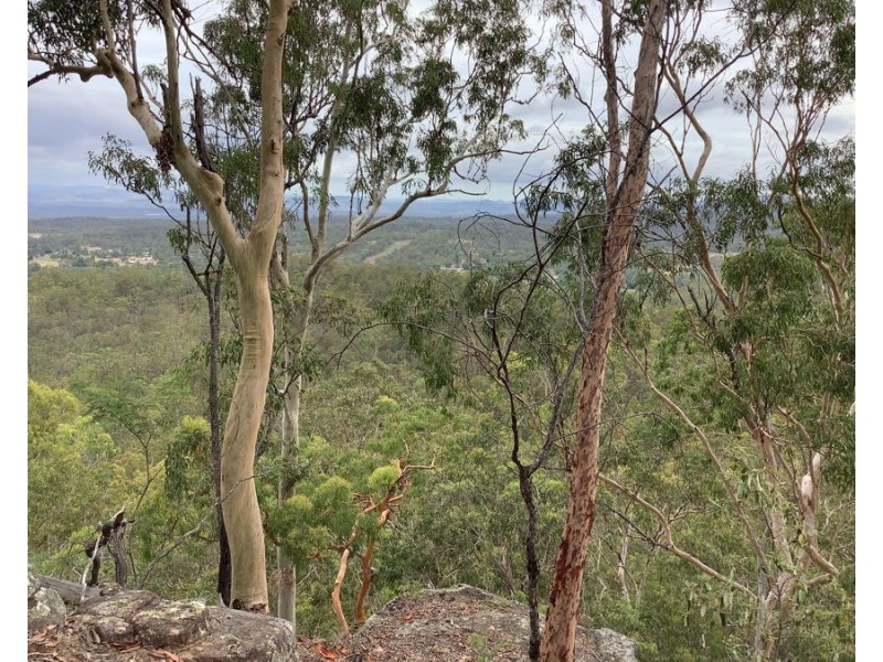 311 Penderests Road, Murphys Creek QLD 4352