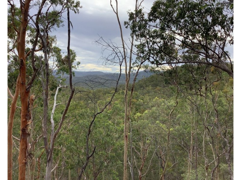 311 Penderests Road, Murphys Creek QLD 4352