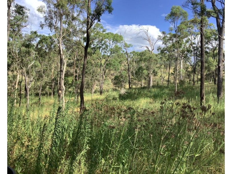 1331 Pierces Creek Road, Pierces Creek QLD 4355