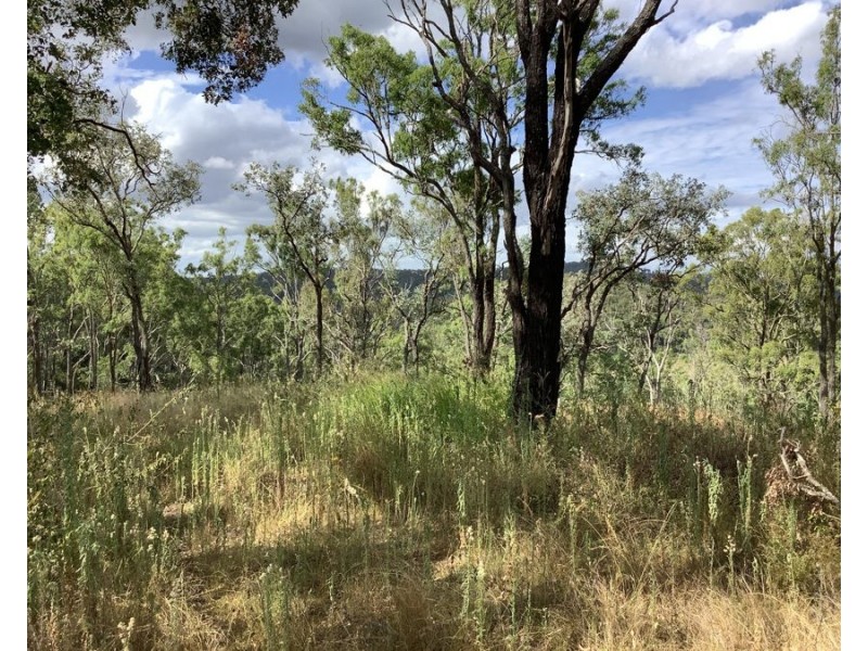 1331 Pierces Creek Road, Pierces Creek QLD 4355
