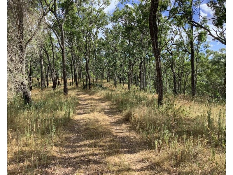 1331 Pierces Creek Road, Pierces Creek QLD 4355