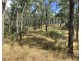 1331 Pierces Creek Road, Pierces Creek QLD 4355