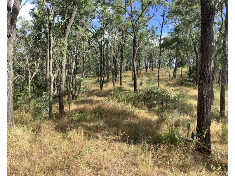 1331 Pierces Creek Road, Pierces Creek QLD 4355