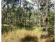 1331 Pierces Creek Road, Pierces Creek QLD 4355