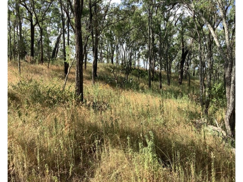 1331 Pierces Creek Road, Pierces Creek QLD 4355