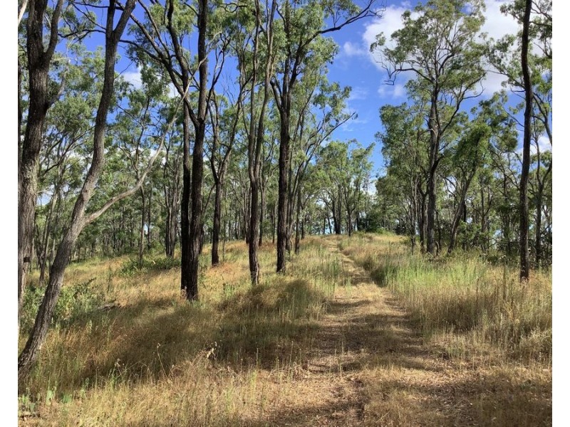 1331 Pierces Creek Road, Pierces Creek QLD 4355
