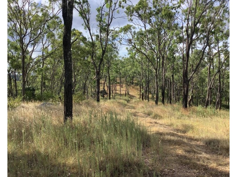 1331 Pierces Creek Road, Pierces Creek QLD 4355