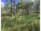1331 Pierces Creek Road, Pierces Creek QLD 4355