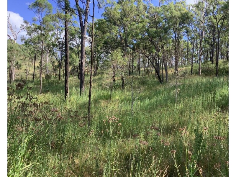 1331 Pierces Creek Road, Pierces Creek QLD 4355