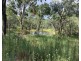 1331 Pierces Creek Road, Pierces Creek QLD 4355