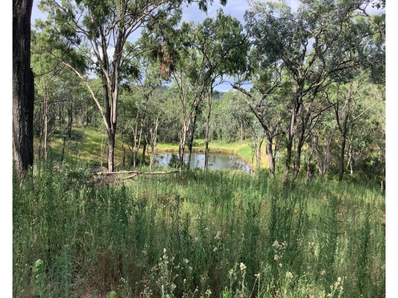 1331 Pierces Creek Road, Pierces Creek QLD 4355