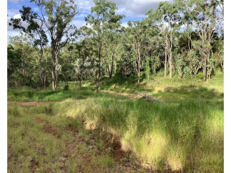 1331 Pierces Creek Road, Pierces Creek QLD 4355
