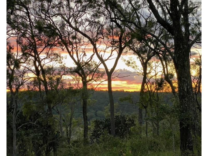 1331 Pierces Creek Road, Pierces Creek QLD 4355