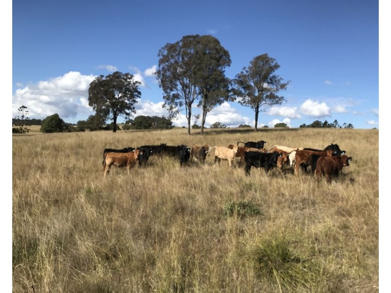 Lot 1 and 1 Widderick Road, Crows Nest QLD 4355