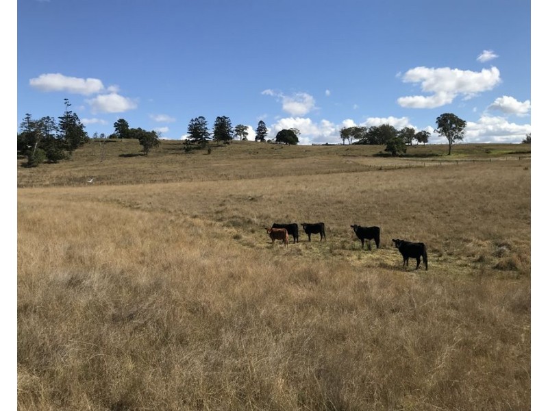 Lot 1 and 1 Widderick Road, Crows Nest QLD 4355