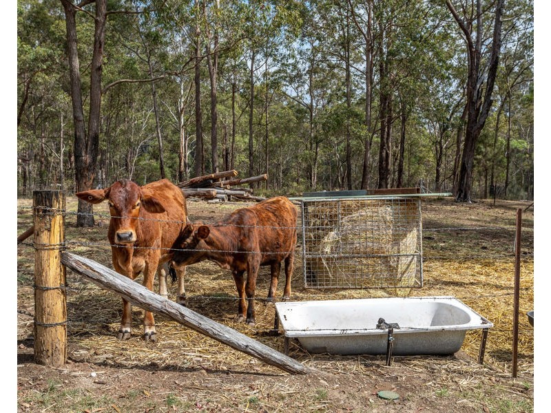 15 Pinnell Road, Crows Nest QLD 4355