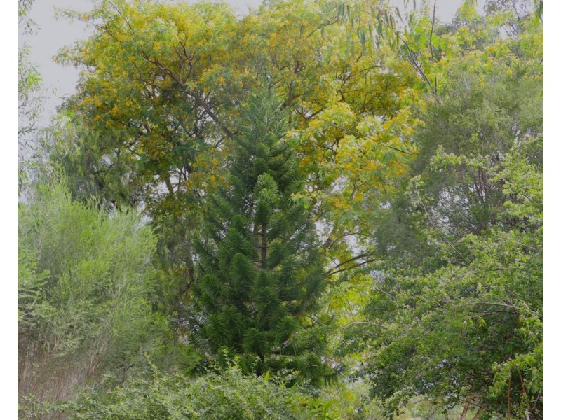 4 Kann Street, Goombungee QLD 4354